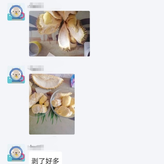 昆明 泰国金枕榴莲品质保证