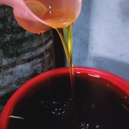 桃源县 纯正山茶油
