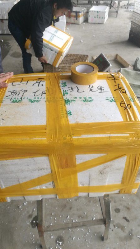 潜江市潜江小龙虾 一手塘口虾，直接发货