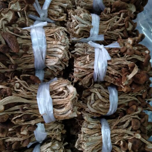 广州 江西特级茶树菇剪脚