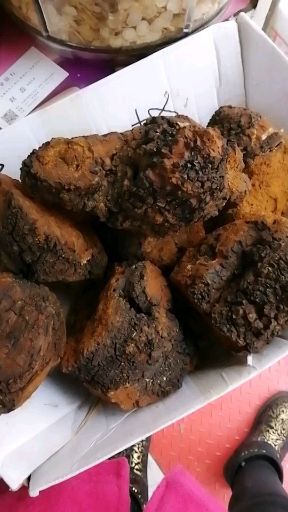 吉林市 桦树茸 天然胰岛素