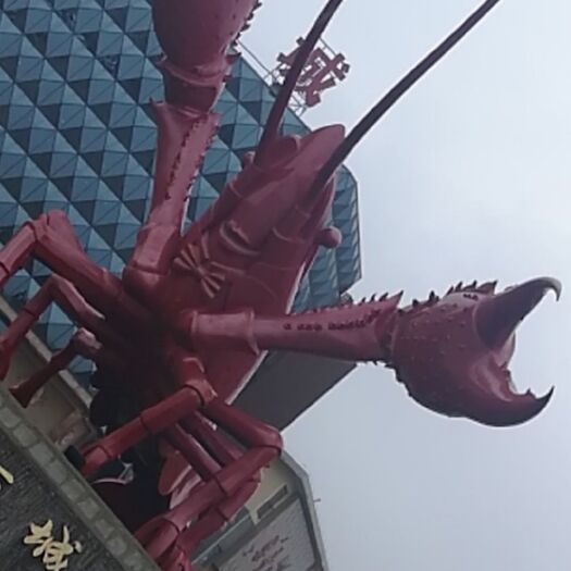 潜江市潜江小龙虾 我们是用心做诚信经验