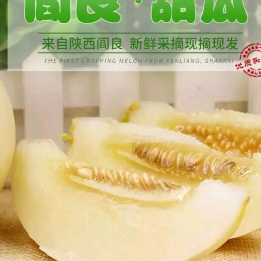 西安 阎良甜瓜产地直供