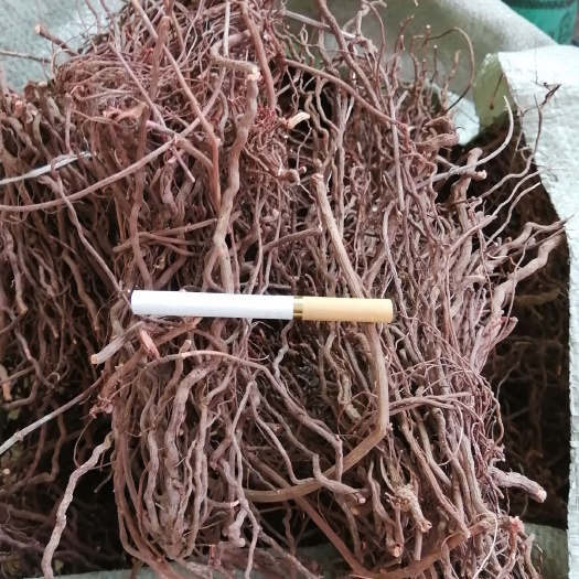 伊川县 纯中药材茜草，选装条 统装