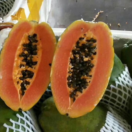 灵山县红心木瓜苗  水果红肉木瓜，当年种植当年挂果。产量高