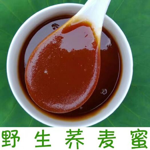 洪雅县 自产自销农家天然荞麦蜂蜜