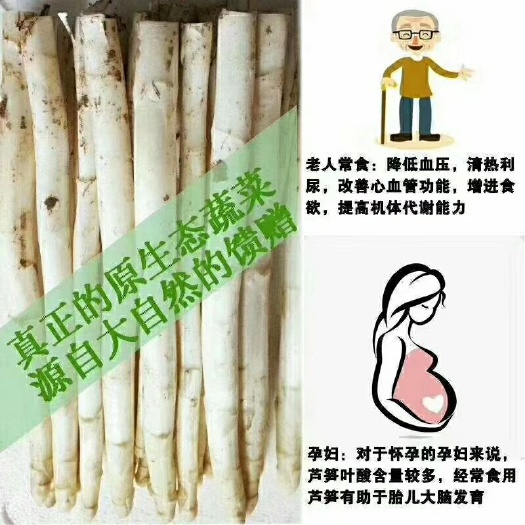 曹县 蔬菜之王，白芦笋