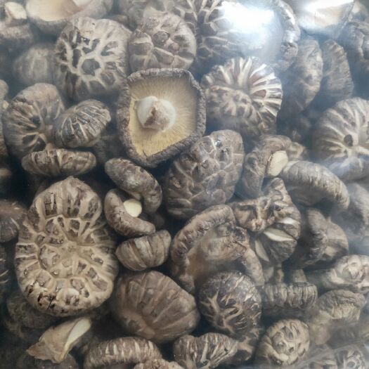 宜城市干椴木木耳 大量批发土特产，正宗高山产品，批发零售！