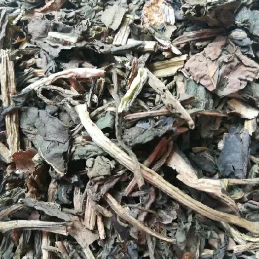 安國市大青葉 正品 中藥材