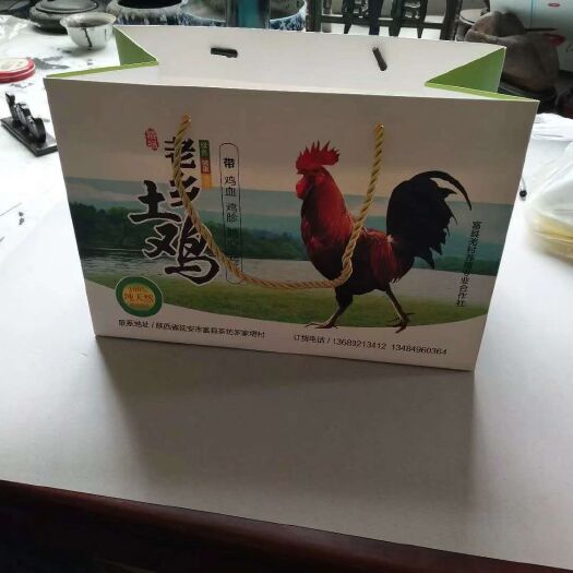 西安纸袋 手提袋