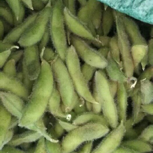 沈鲜豆 12~18克 沈鲜豆 12~18克