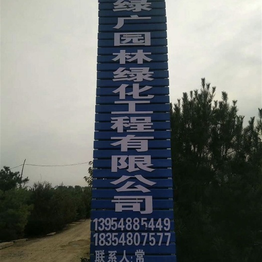 泰安 蓝田白皮松