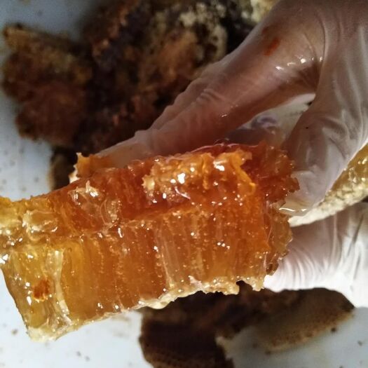 曲靖 三月土蜂蜜，一年一取，从蜂窝取出来是什么样你收到的就什么样