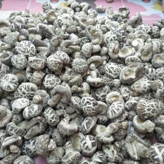 商南县 白花菇500g
