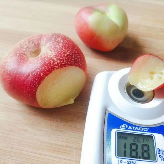 大荔县 陕西油蟠桃 软硬双吃 超甜…