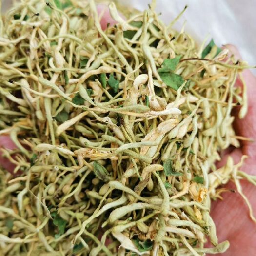秦岭高山金银花，家种四季花，百花一号，产地直销，物美价廉。