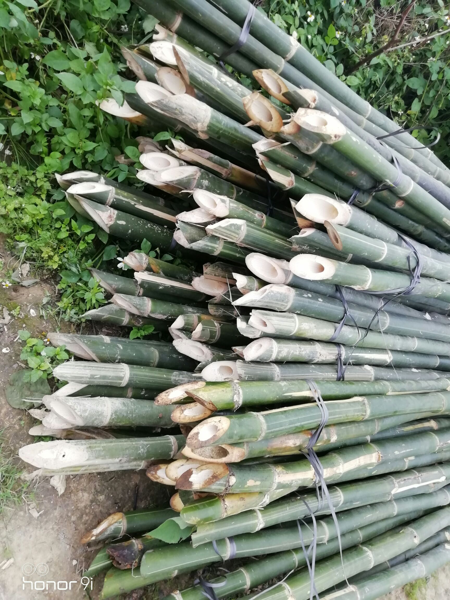 竹签  大量提供搭架子条竹