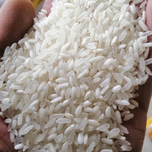 佳木斯东北大米 新米，产地：黑龙江，种植方式：