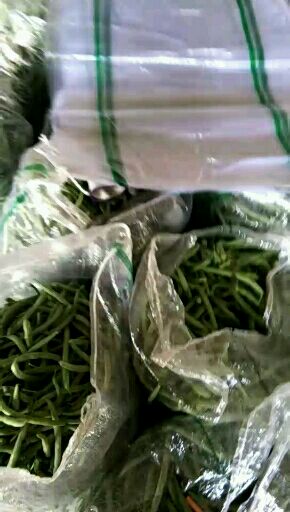 无架四季豆 12cm以上