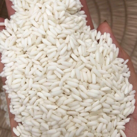 田东县长糯米  糯米