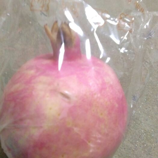 西安 临潼石榴