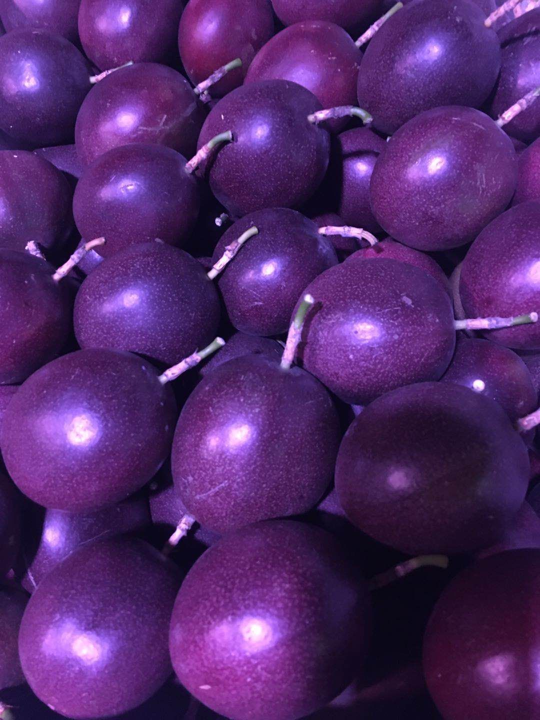 紫色百香果 产地直供携手共营