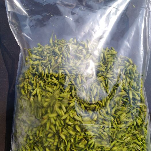 沐川县山银花  清热，清肺，药用价值高，含量高。