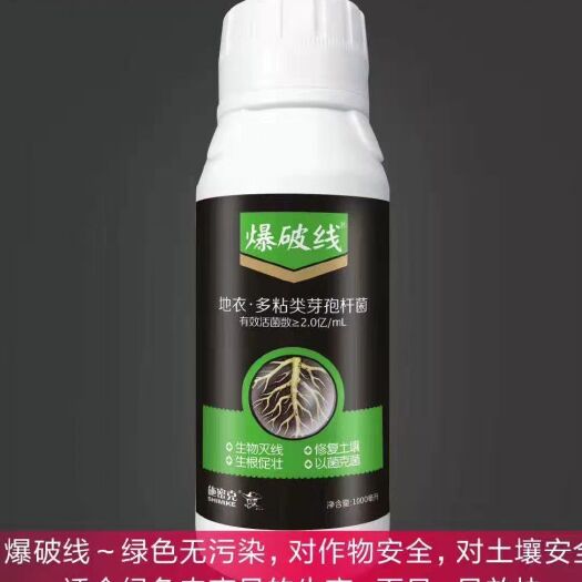 孟州市菌肥 爆破线，全新纳米杀虫技术