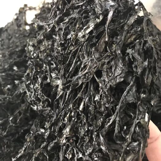 阳西县水头紫菜 无沙紫菜 煮汤紫菜