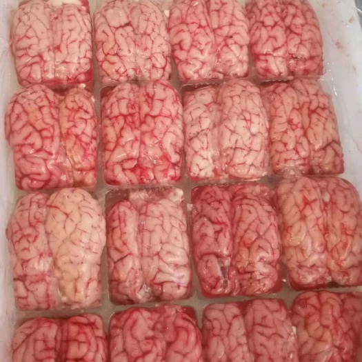 中牟县羊脑 精品对脑