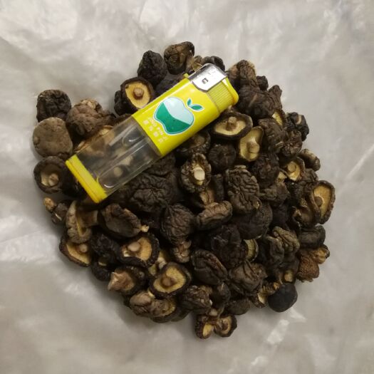 商南县 农副产品食用菌干货珍珠菇小香菇产地直销散装批发