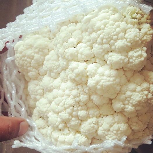 邯郸白面青梗松花菜 精品散花