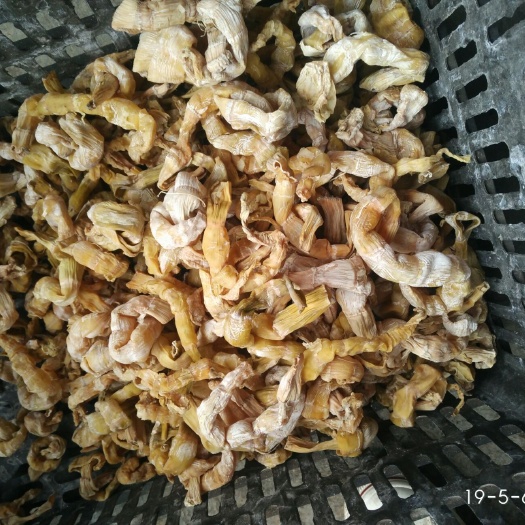 筠連縣 野生水竹筍劑