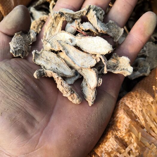 小黄姜干姜片 6-12个月 散装