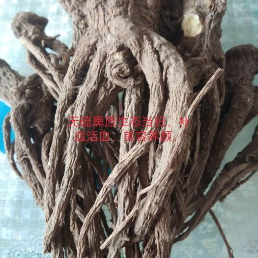 岷县 岷县无硫熏当归原条