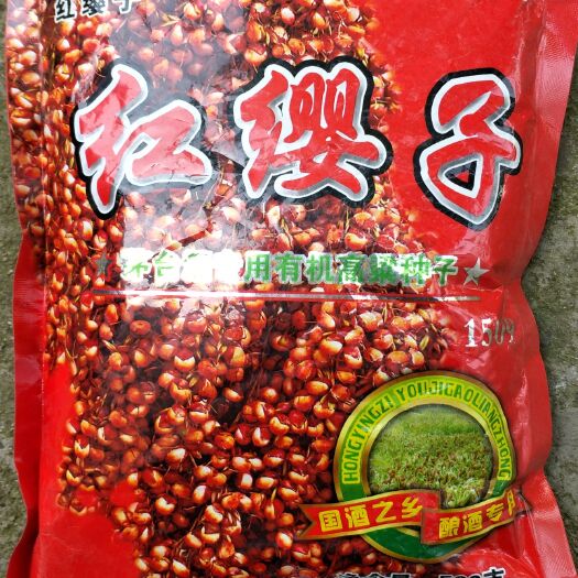 襄樊高粱种子 常规种 预包装