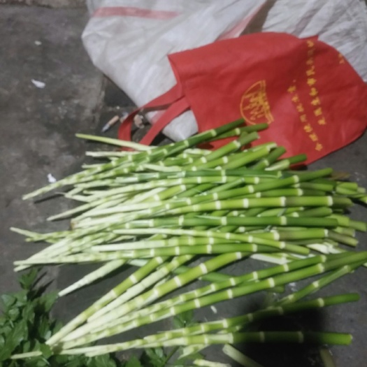 宣城小竹笋 零售批发新鲜现摘。