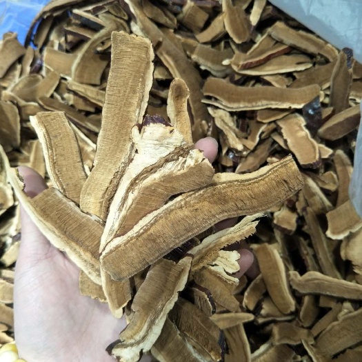 拉萨切片灵芝
