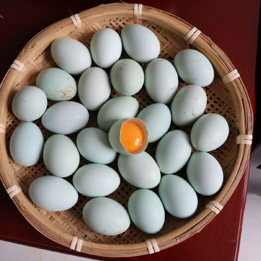长顺县 贵州长顺绿壳鸡蛋地理标志产品天然散养鸡蛋