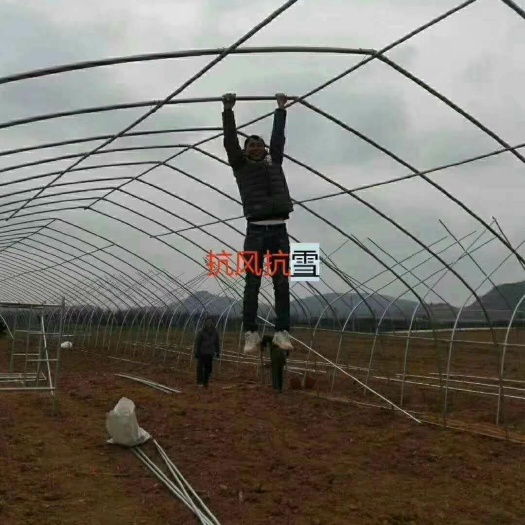 沭阳县蔬菜大棚 热镀锌管，温室大棚。质保二十年。