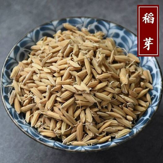 安国市稻芽 中药材 正品