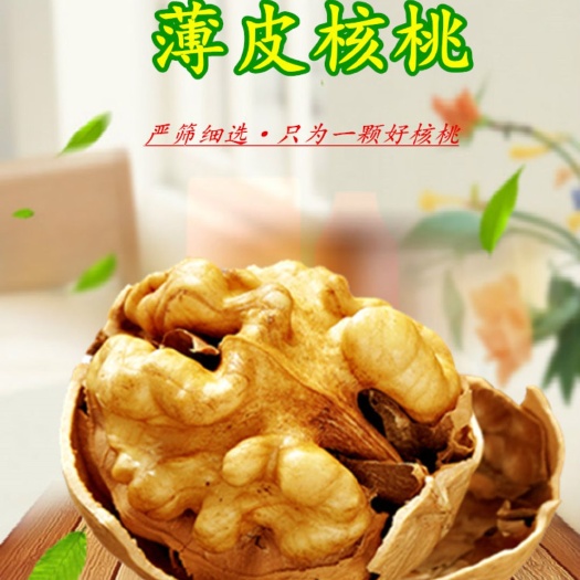 东光县 新疆阿克苏薄皮核桃