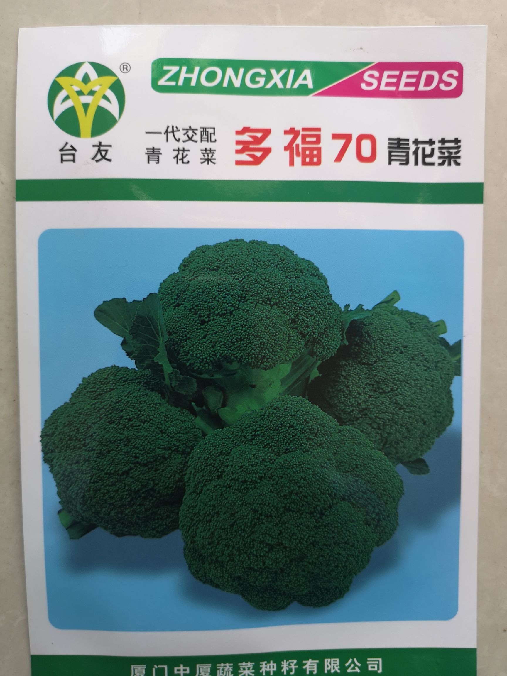 紫花椰菜种子 西兰花种子