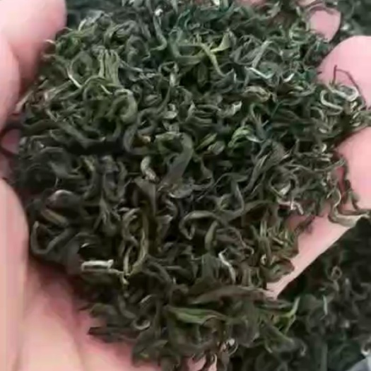 遂川县 【江西茗茶】始于1915国际金奖茶狗牯脑茶统级批发零售