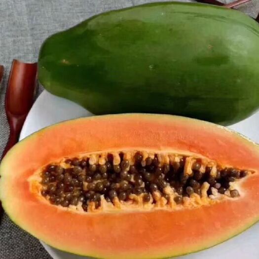 灵山县 水果红肉木瓜苗