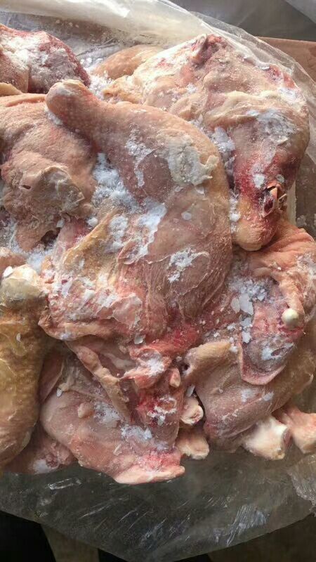 滨州鸡腿 二级排腿