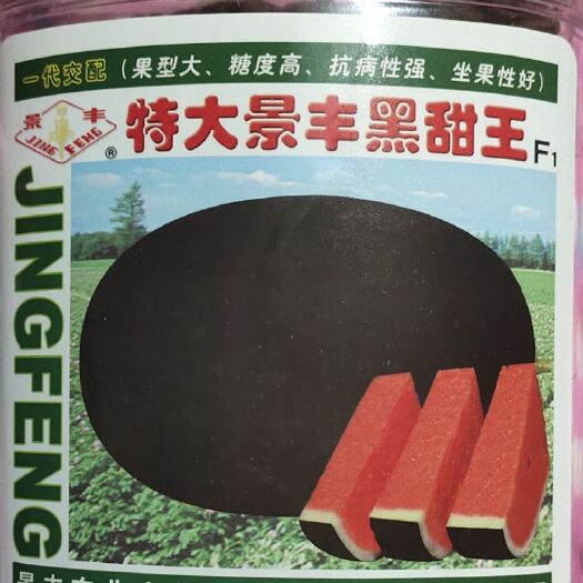 商丘甜王西瓜种子 黑皮甜王西瓜子高甜 耐水 耐热 皮薄  大红瓤
