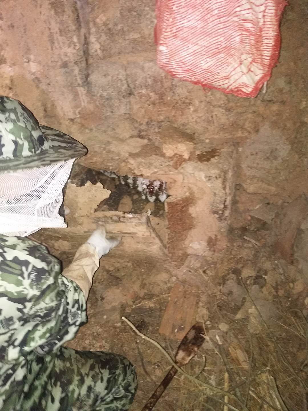  农家土蜂蜜纯，保证从蜂窝取出来什么样你收到就是什么样