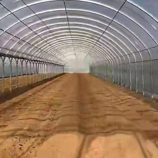 沭阳县椭圆管骨架 全新镀锌管，