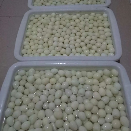 大安市绿壳鸭蛋 食用 箱装 